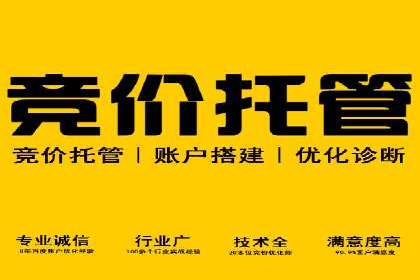 竞价排名案例：应对竞争对手策略